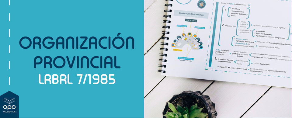 Esquemas Oposiciones Gratis. Organización provincial. LRBRL 7/1985